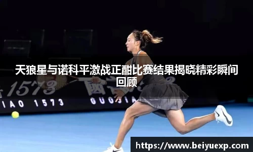 天狼星与诺科平激战正酣比赛结果揭晓精彩瞬间回顾